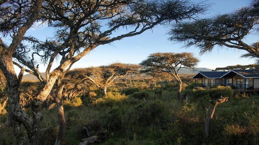 קראטו Karibu Camps And Lodges Lions Paw Ngorongoro מראה חיצוני תמונה